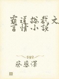 霸道总裁文现代言情小说