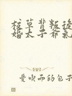 校草背叛后我闪婚太子爷气疯他时逾白结局