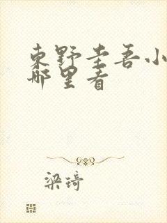 东野圭吾小说在哪里看