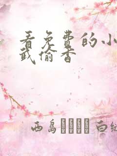 看免费的小说综武偷香