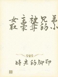 女主被兄弟俩强取豪夺的小说