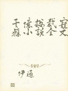 千亿总裁宠妻上瘾小说全文