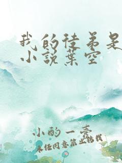 我的徒弟是女帝小说叶空