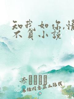 知我如你,情深不负小说