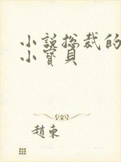 小说总裁的私有小宝贝