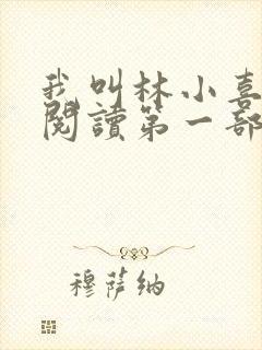 我叫林小喜全文阅读第一部