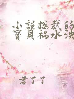 小说总裁的私有宝贝祸水泱泱