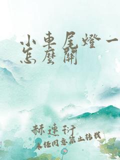 小车尾灯一直亮怎么关