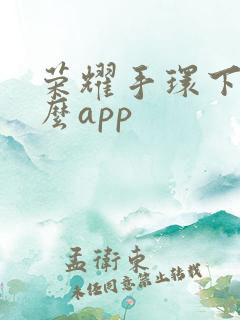 荣耀手环下载什么app