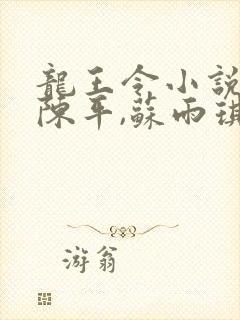 龙王令小说主角陈平,苏雨琪