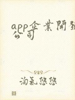 app企业开发公司
