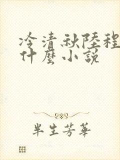 冷清秋陆程文是什么小说