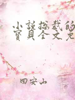 小说总裁的私有宝贝全文免费阅读