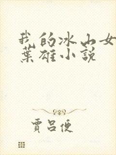 我的冰山女总裁叶雄小说