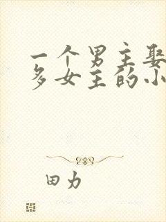 一个男主娶了很多女主的小说