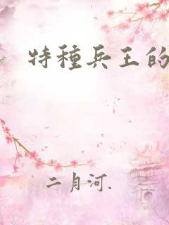 特种兵王的小说