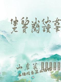 他的小仙女全文免费阅读笔趣阁无弹窗