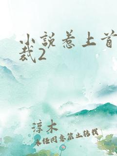 小说惹上首席总裁2