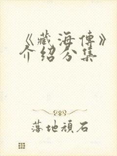 《藏海传》剧情介绍分集