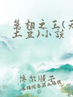 万相之王(天蚕土豆)小说