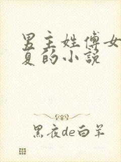 男主姓傅女主姓夏的小说
