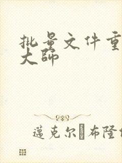 批量文件重命名大师