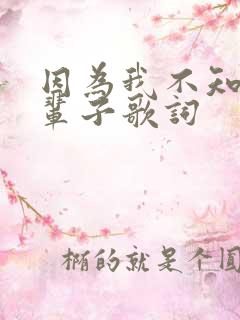 因为我不知道下辈子歌词