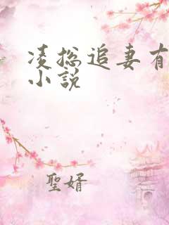 凌总追妻有点甜小说