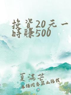 投资20元一小时赚500