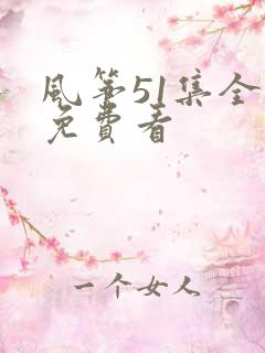 风筝51集全部免费看