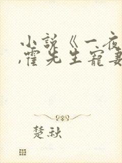 小说《一夜情深,霍先生宠妻无度》