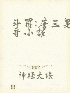 斗罗:唐三是我哥小说