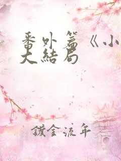 番外篇《小莹》大结局