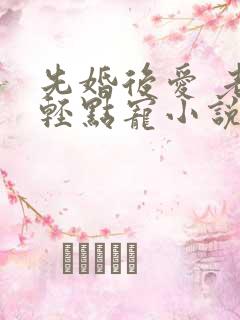 先婚后爱 老公轻点宠小说