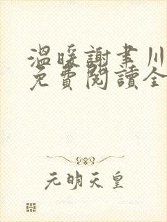 温暖谢聿川小说免费阅读全文无弹窗