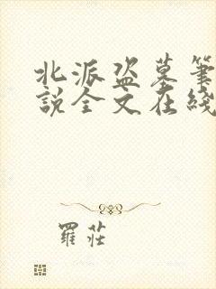 北派盗墓笔记小说全文在线阅读