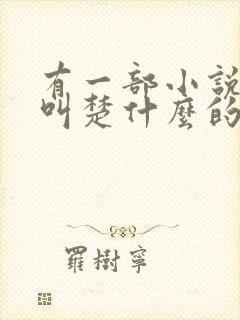 有一部小说主角叫楚什么的