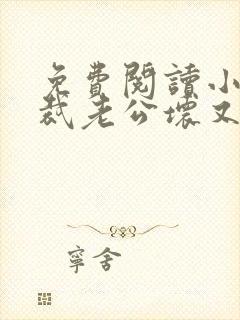 免费阅读小说总裁老公坏又甜