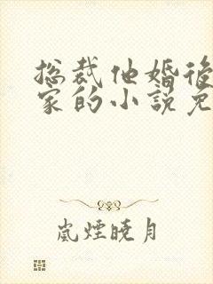 总裁他婚后不回家的小说免费阅读