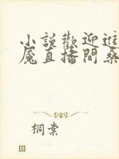 小说欢迎进入梦魇直播间桑沃免费