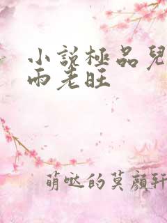 小说极品儿媳秦雨老旺