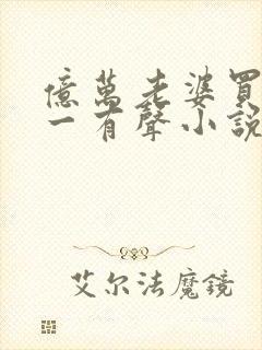 亿万老婆买一送一有声小说