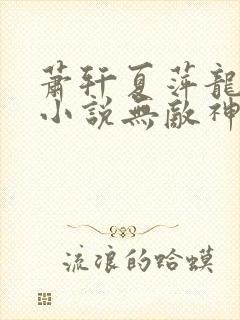 萧轩夏萍龙凤诀小说无敌神医