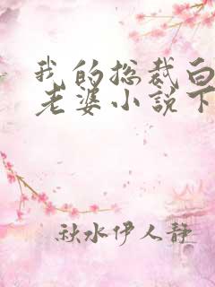 我的总裁白富美老婆小说下载