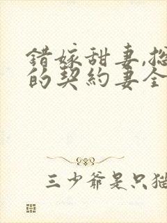 错嫁甜妻,总裁的契约妻全文阅读