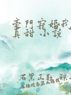 豪门宠婚我老婆真甜 小说