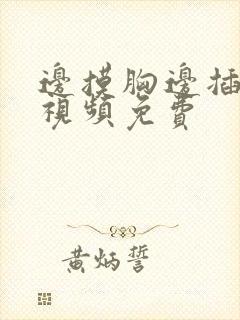 边摸胸边插下面视频免费