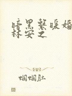 暗黑系暖婚莫冰林安之