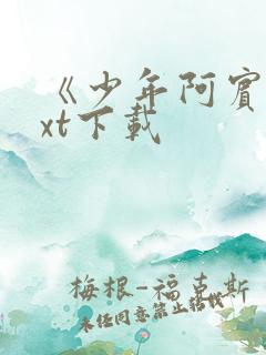 《少年阿宾》txt下载