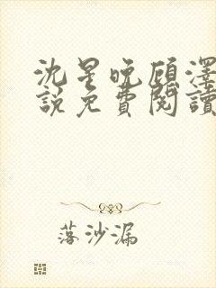 沈星晚顾泽宇小说免费阅读最新章节